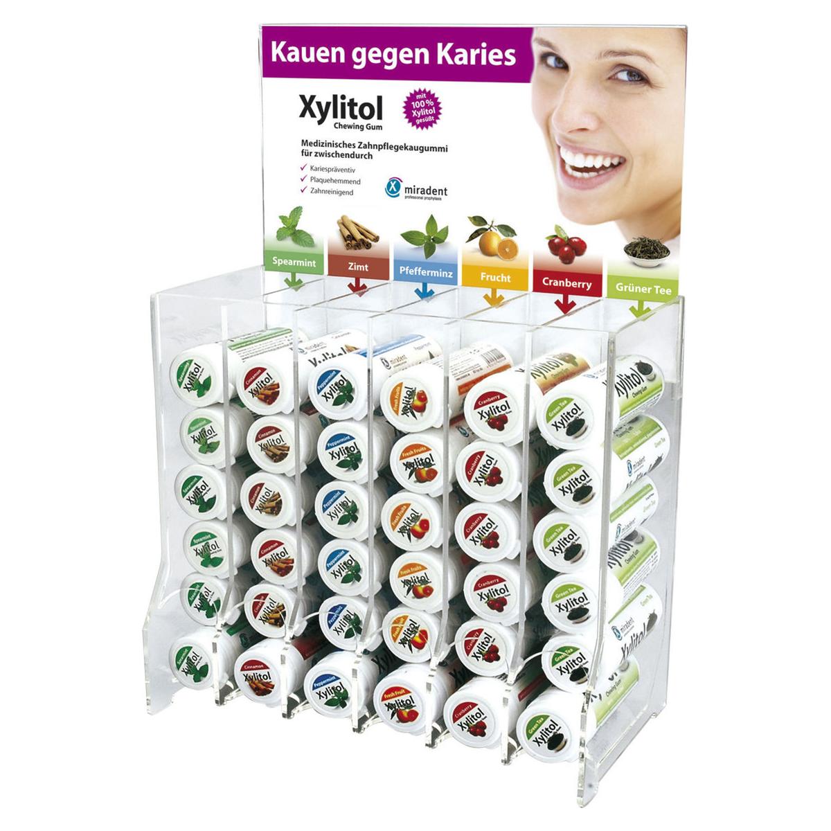 Xylitol Chewing Gum mit Display - Packung 6 x 12 Dosen