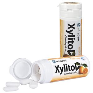 Xylitol Chewing Gum - Dose - Frucht, Dose 30 Stück