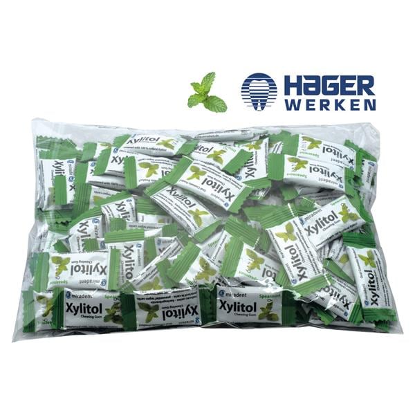 Xylitol Chewing Gum - Beutel - Spearmint, Beutel 100 x 2 Stück