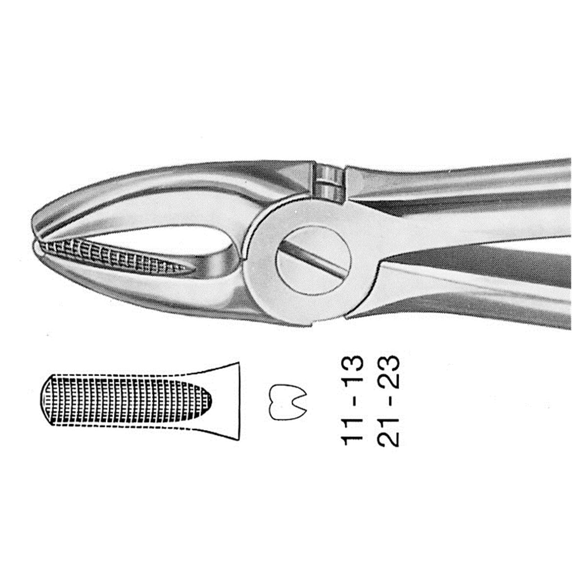 ANATOMICA Zahnzange nach Büchs, Frontzahn- und Eckzahnzange OK - Figur 1 (DH701R) - breit